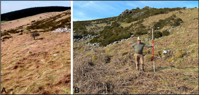 Photos of areas of interest at the site.