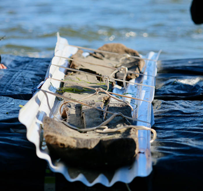 3000-year-old canoe from the lake