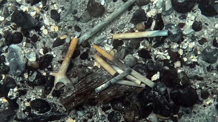 The team found decorated tobacco pipes in a 1740s shipwreck in the Bahamas. 
