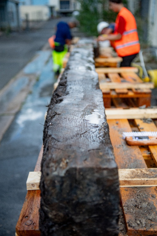 Marks left by Iron Age axes and adzes remain visible on a cleaned oak beam.