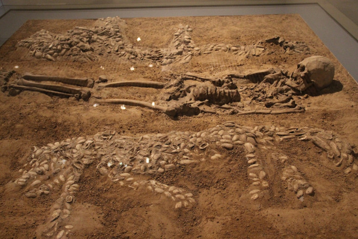 Neolithic burial with dragon and tiger in shells,