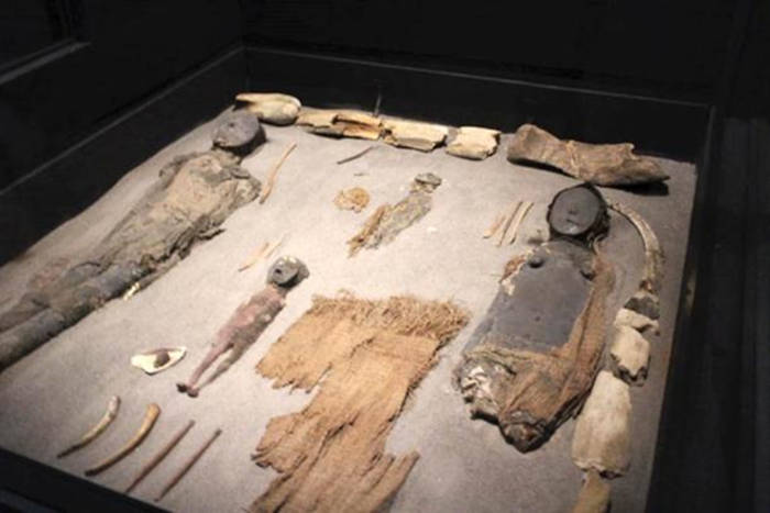 Chinchorro mummies at the Museum in San Miguel de Azapa, Chile