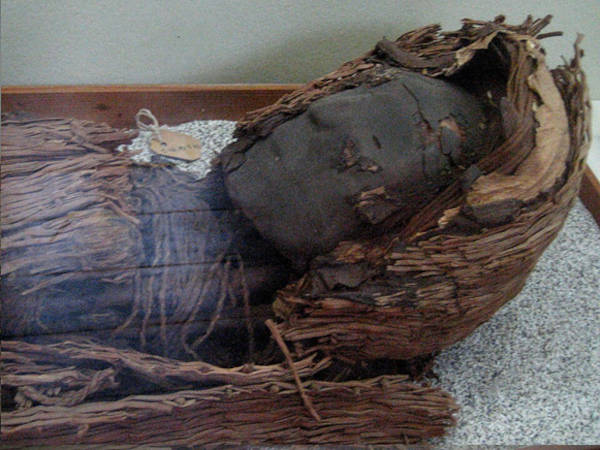 Chinchorro mummy black head