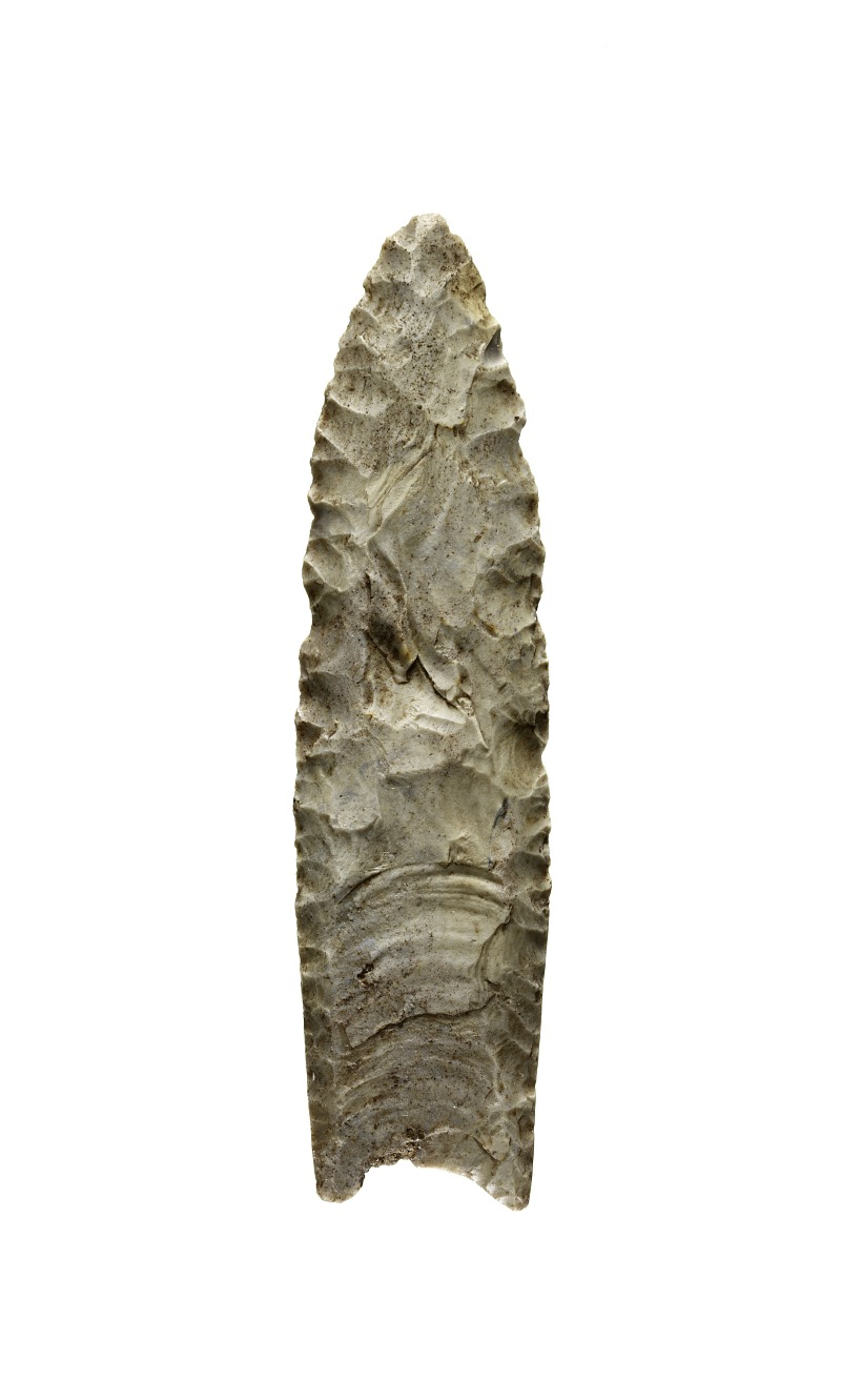 Clovis projectile points that resemble those recovered from the Anzick burial.