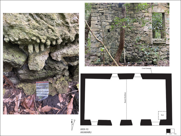 Coral continuing to grow when used in house construction.
