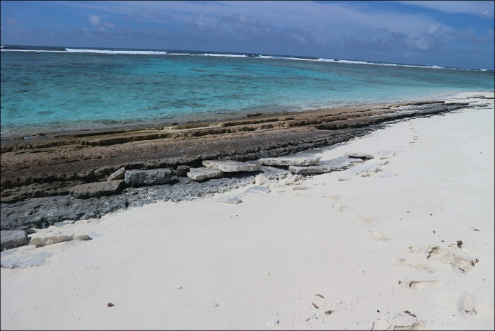Exposed beach rock coral.