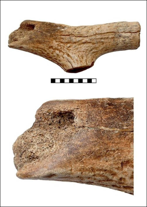 T-shaped antler axe with broken and polished edge