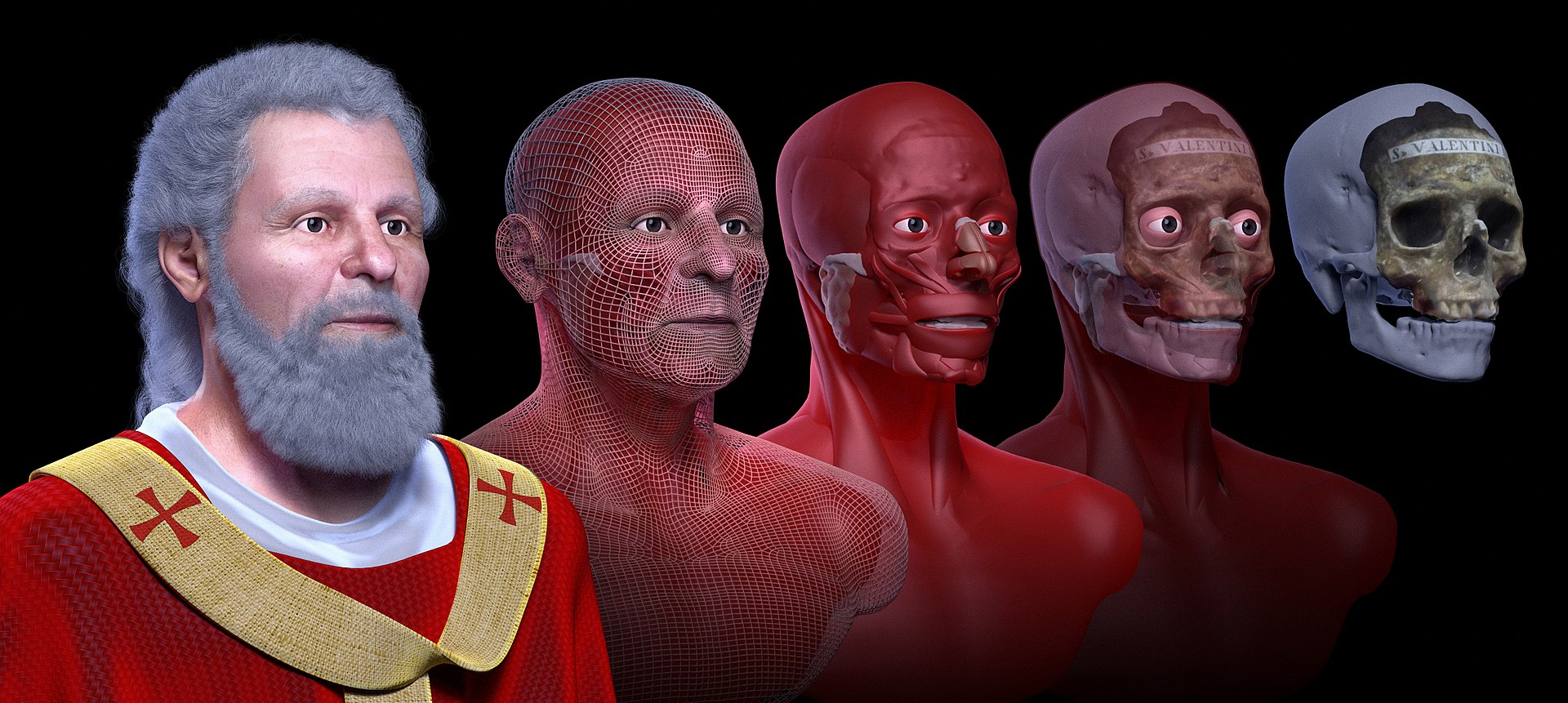 Digital Facial Reconstruction Process from Skull to Finished Face of St. Valentine
