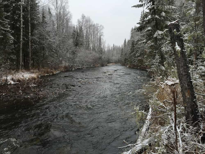 A photograph of the Auspiya River area connected to the Dyatlov route in the northern Urals