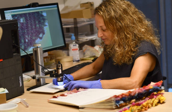 Expert Dr. Naama Sukenik examines a fragment of purple textile
