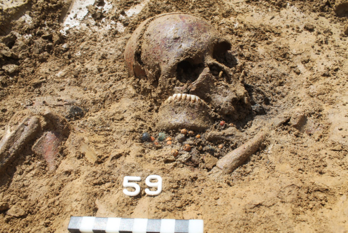 A woman's skull, approximately 1,400 years old, discovered during the excavation of her grave