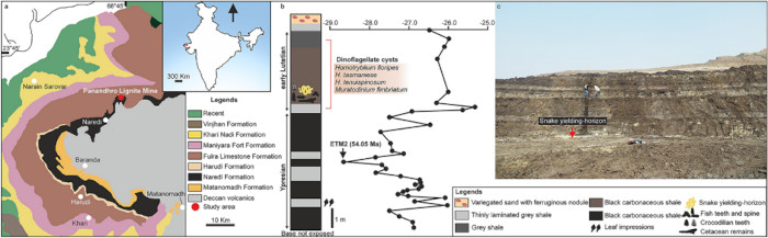 The Kutch Basin map identifies the Panandhro fossil locality.