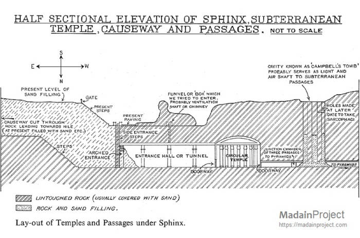 Diagram showing one potential tunnel and chamber layout.