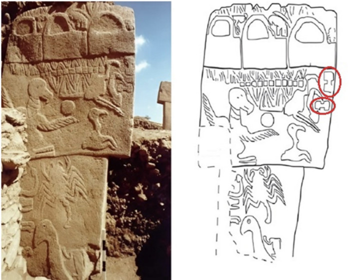 Illustration and photograph of Column 43 from Building D at Göbekli Tepe