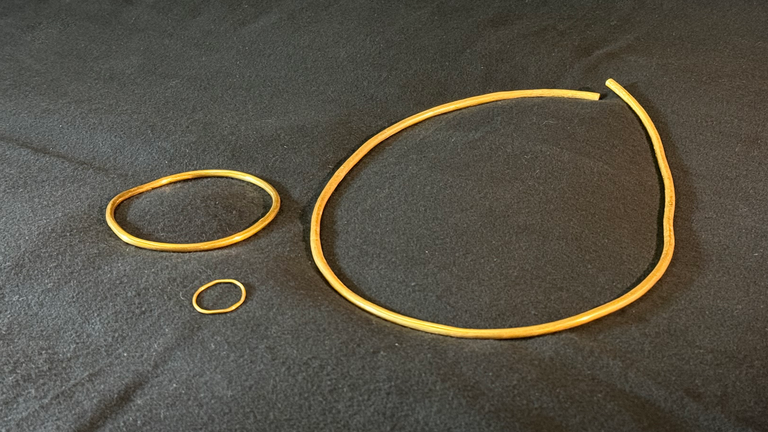 Gold torcs recovered from Iron Age Celtic burial