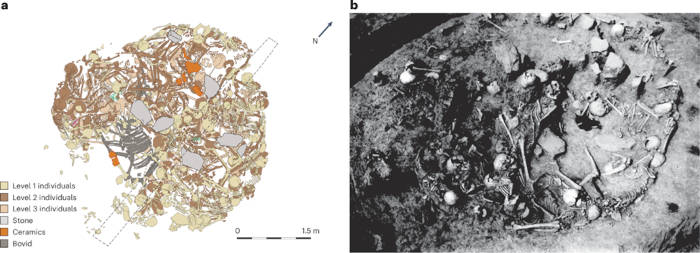 Left, Burial plan of the human remains and finds from Gomolava mass burial 2, Right photograph of the burial.
