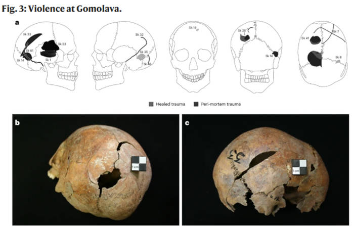 Example of cranial injuries recorded at Gramolava.