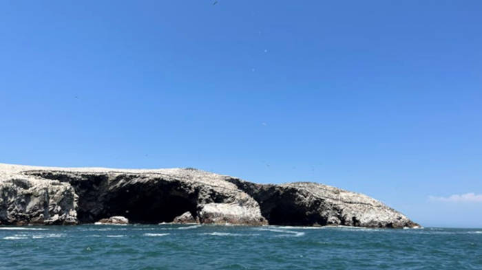 Island full of seabirds producing guano.
