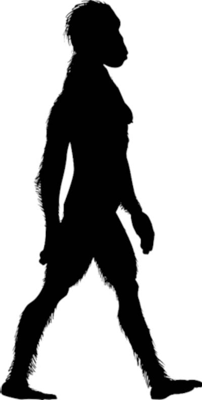 Old idea of how Homo habilis would have looked.