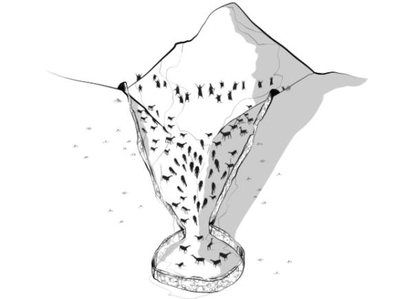 Diagram illustrating the funnel mechanism that directed vicuña into capture areas