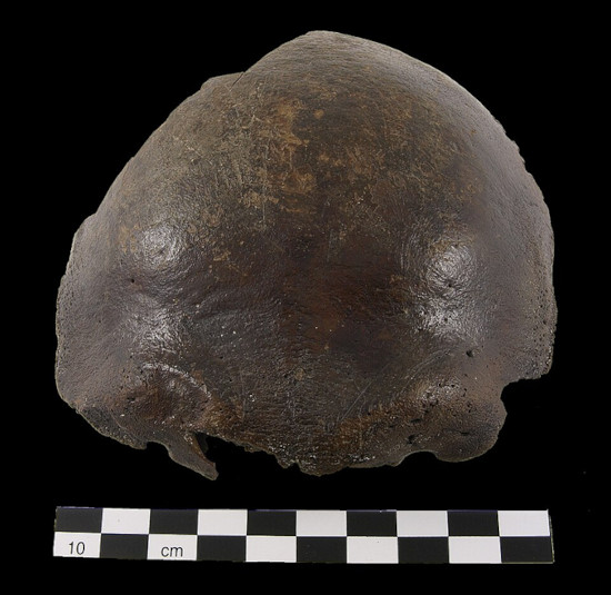 Frontal view of the Hahnöfersand frontal bone