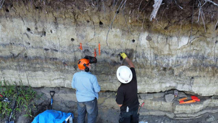 Archaeologists inspecting the stratigraphic layers at the Âsowanânihk site
