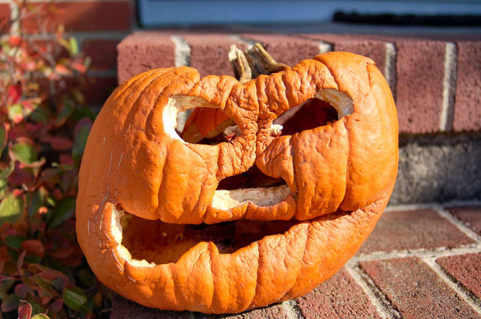 A decaying pumpkin.