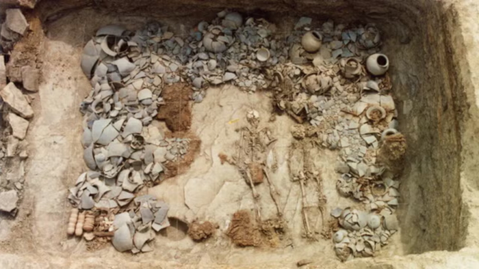 Human skeletons found during excavation of an ancient burial site 