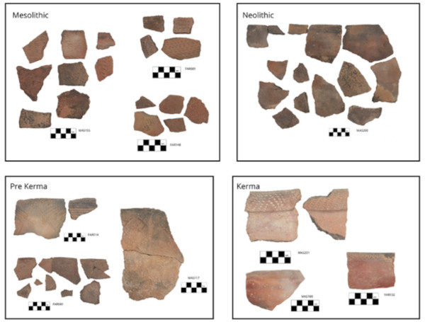Pottery from the survey, arranged by period, shows the long span of activity around Miseeda