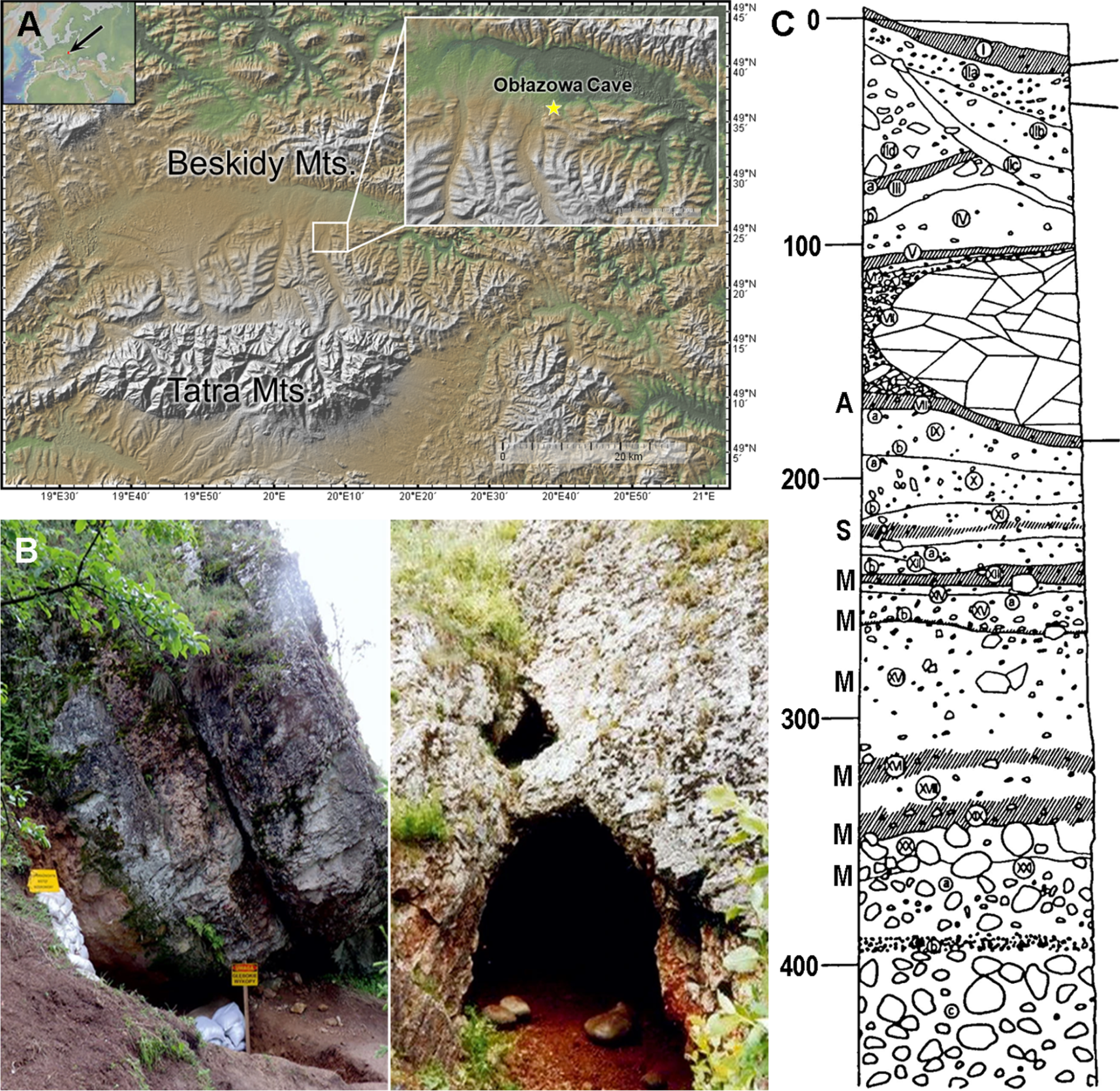 Location, entrance, and stratigraphy of Obłazowa Cave, Poland. Panel A shows the geographic location of the cave; Panel B shows the western and main cave entrances; Panel C illustrates the site's archaeological stratigraphy