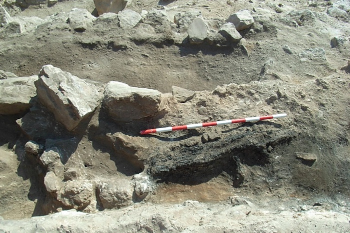 Wooden remains of the loom in situ at the find location.