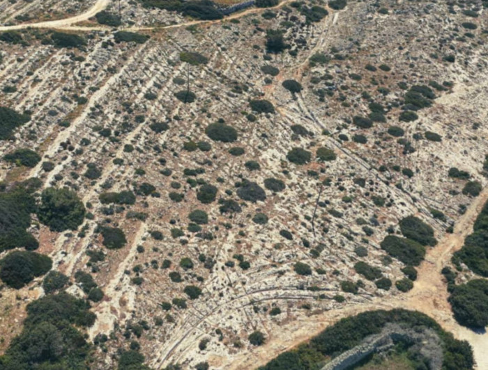 A dense cluster of overlapping cart ruts at Misraħ Għar il-Kbir