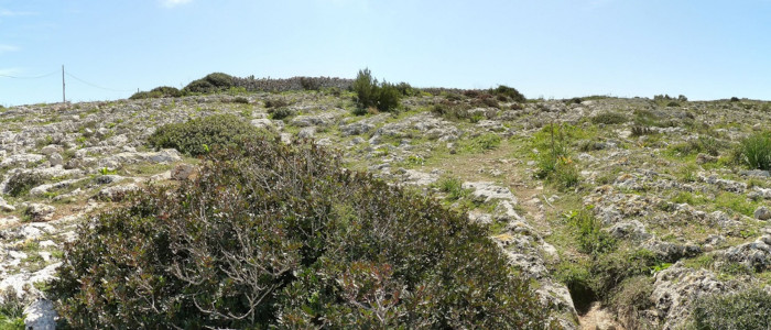Intersecting cart ruts at ‘Clapham Junction’, Malta.