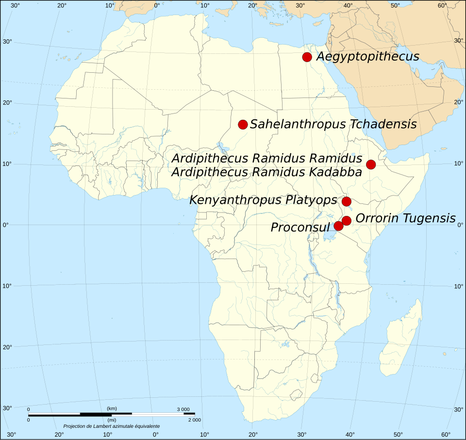 Map of major African fossil localities associated with early ape and hominin evolution