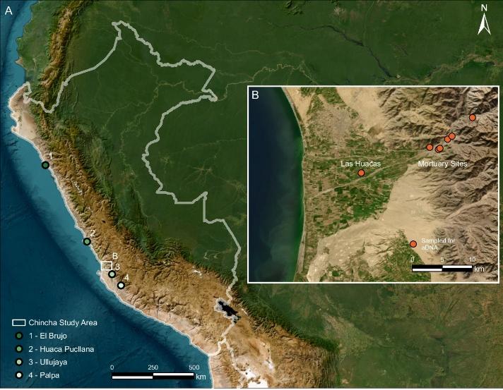 Map of the study area. A. Locations of the Chincha Valley and other Andean sites referenced in this study that yielded ancient DNA data.