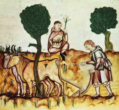 Medieval ploughing scene depicting oxen pulling a plough