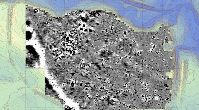 Results of geophysical surveys at the site of the former town.