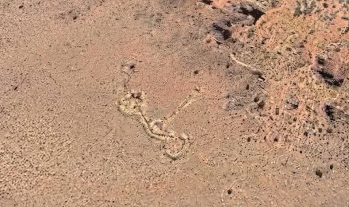 The site's connected circular structures, seen in a Google Earth