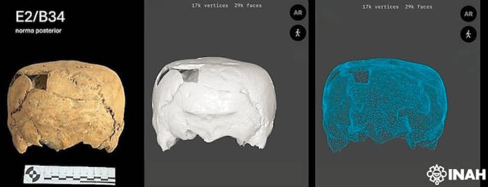Scan images of the square skull.