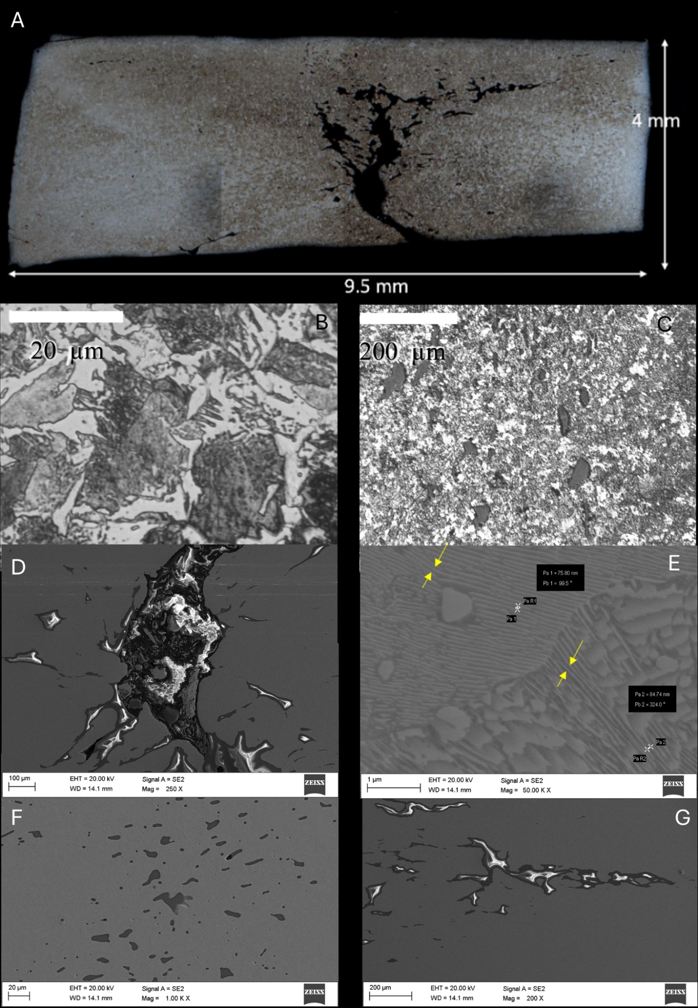 Microscopic and metallographic analyses of an Early Iron Age iron axe reveal internal structures formed during forging, welding, and heat treatment.
