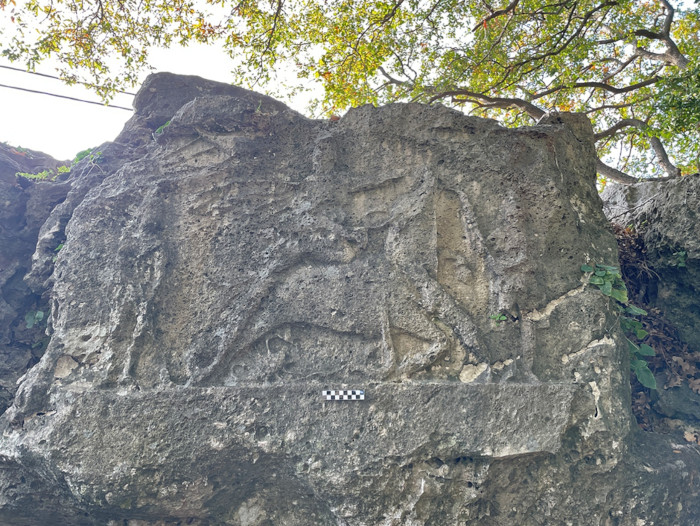 Detail of tauroctony relief at Močići.