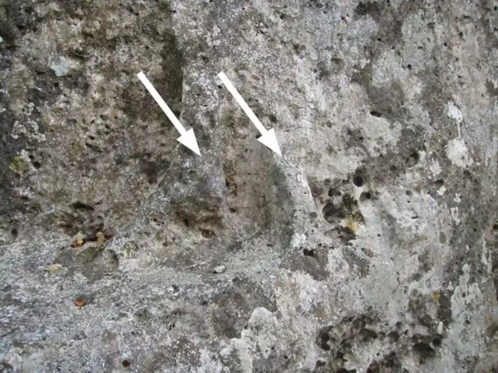 Relief with legs of Silvanus