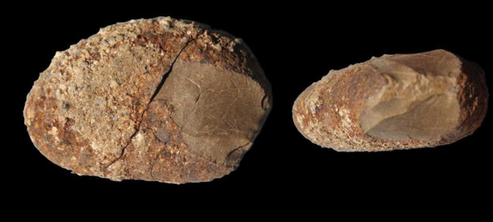 This basalt wedge is one of the artifacts found at the Monte Verde site in Chile