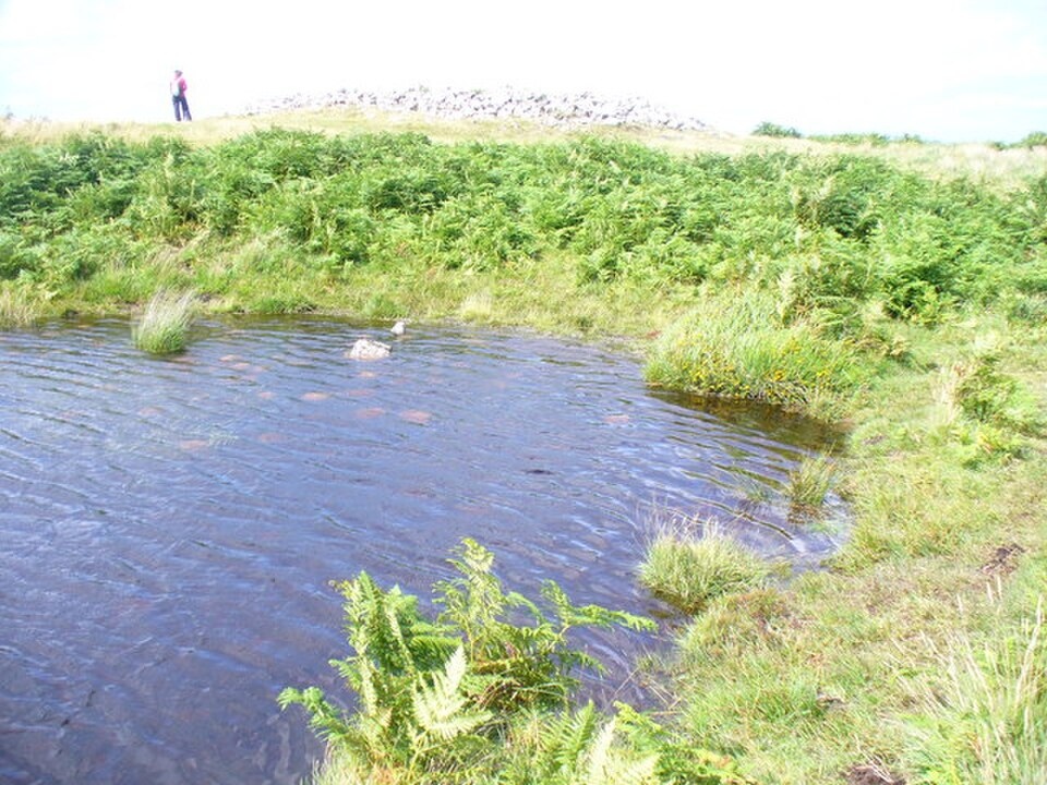 Moorland Pool Near Arthur's Stone, Herefordshire