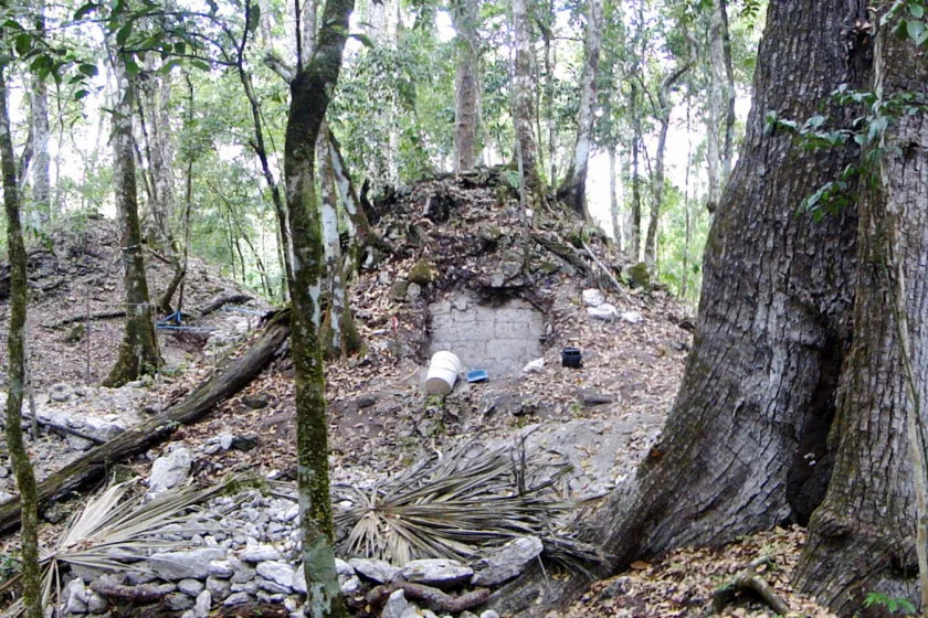 Mounds at the the archaeological site of Xultun, Guatemala, where the inscription was found.