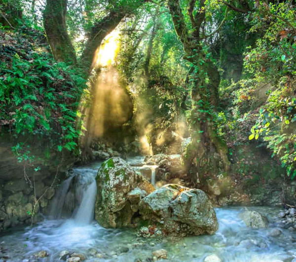 A lush, dense tropical waterfall in the Venezuelan jungle