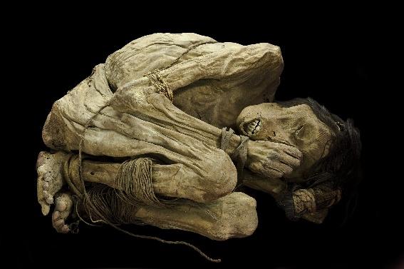 Mummified male body, South America, 800-1400 AD