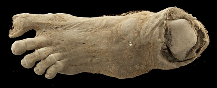 Detailed image of a mummified foot scanned.