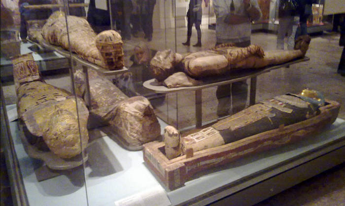 Egyptian mummies on display