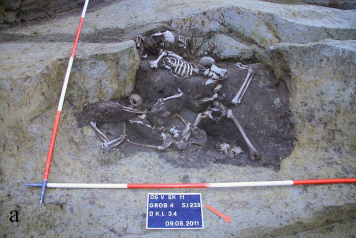 Several skeletons visible at one of several excavation stages of the well